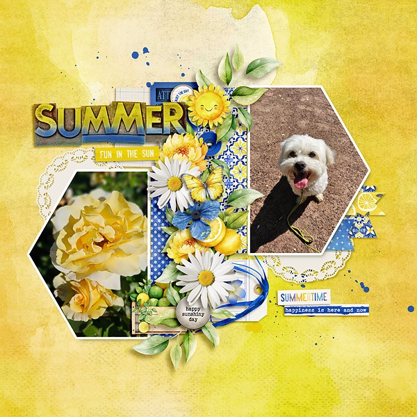 Happy Sunny Summer