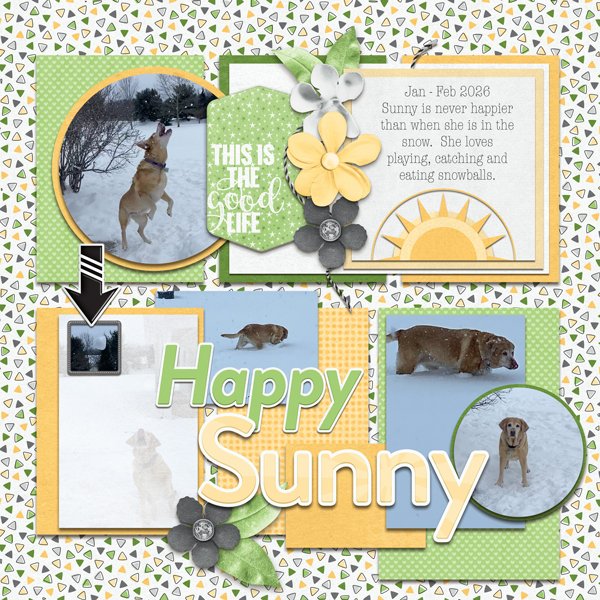 Happy Sunny