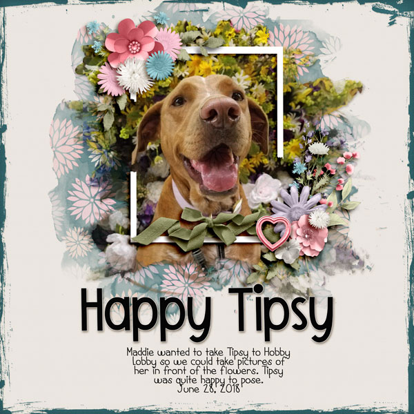 Happy Tipsy