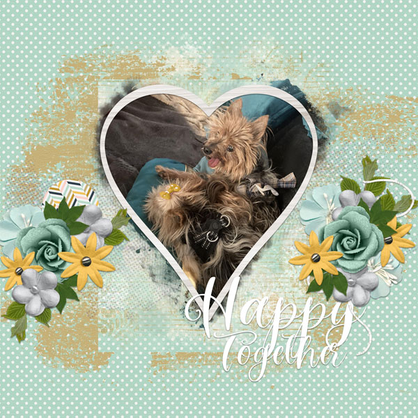 Happy Together
