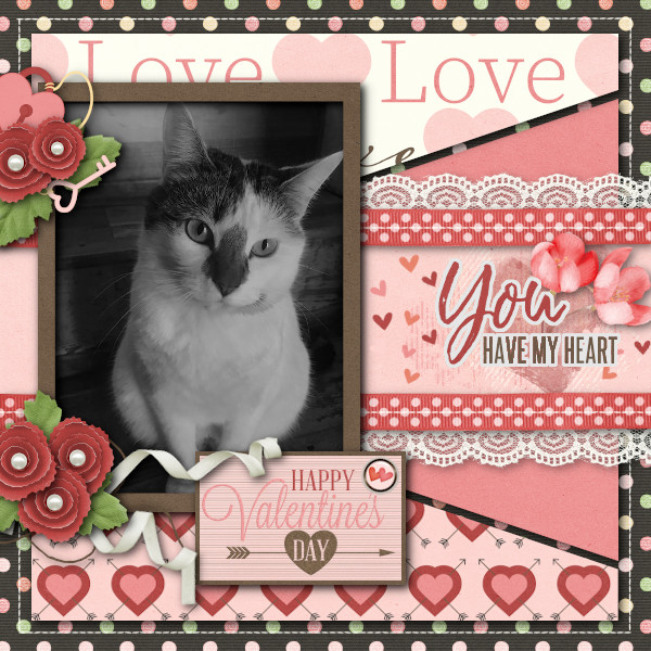 Happy Valentines Day!