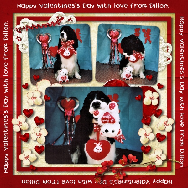 Happy Valentine's Day