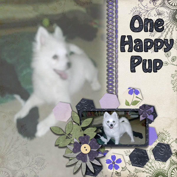 happypup_web