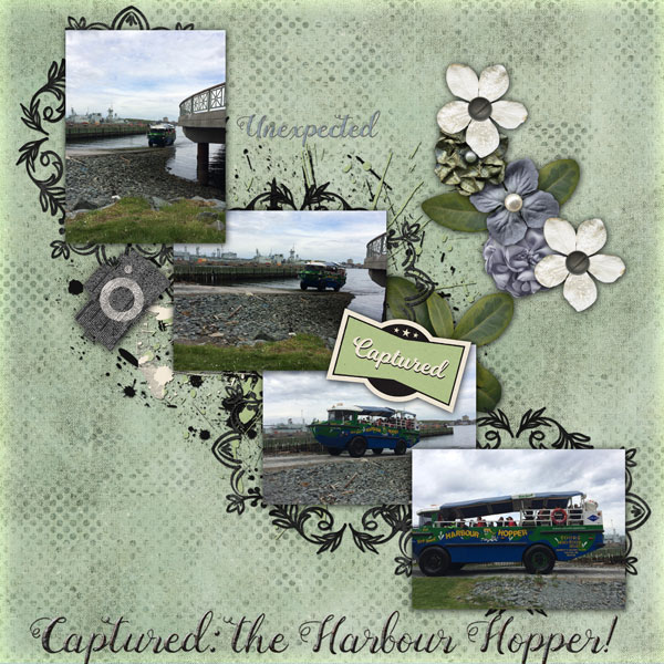 Harbour Hopper Captured