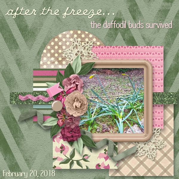 Hard Freeze...