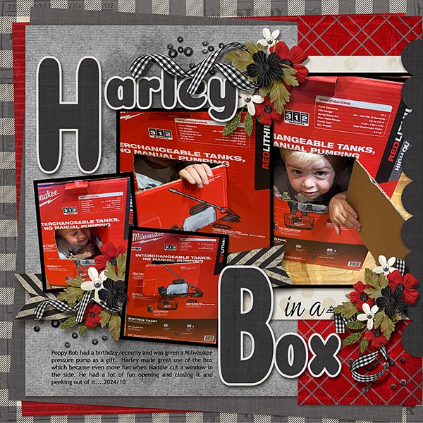 Harley in a Box