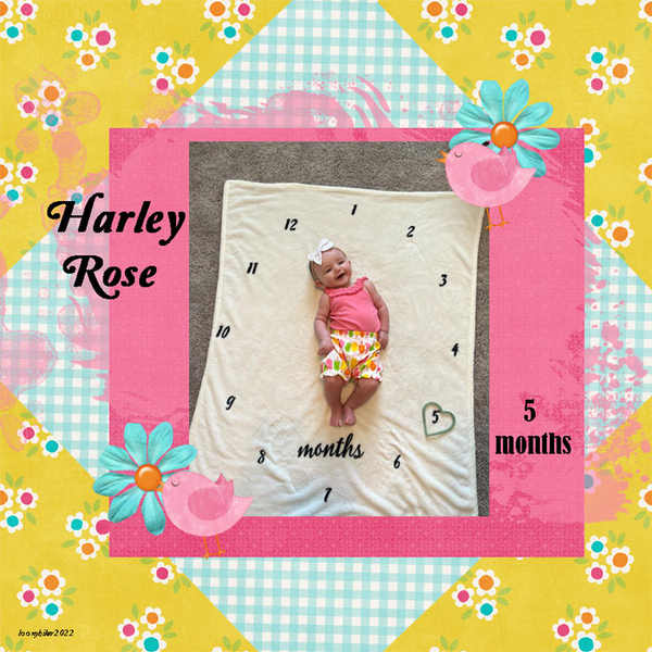 Harley Rose
