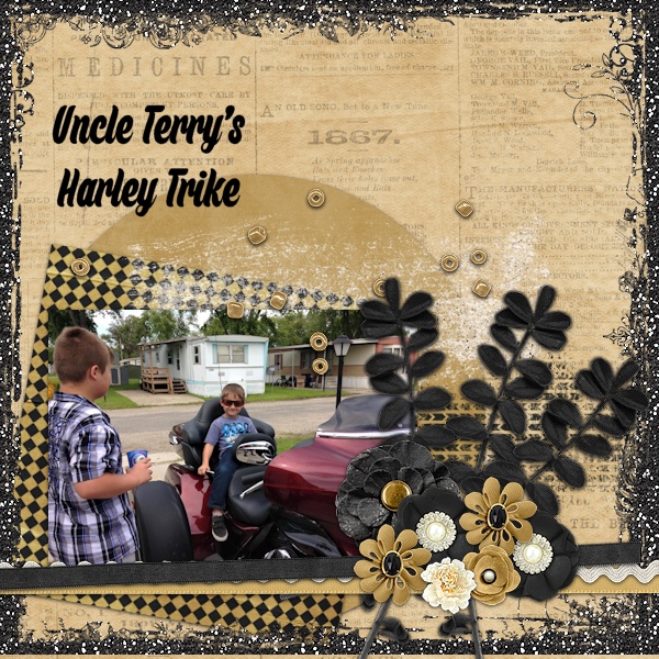 Harley Trike