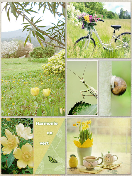 Harmonie en vert