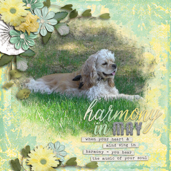 Harmony-in-May