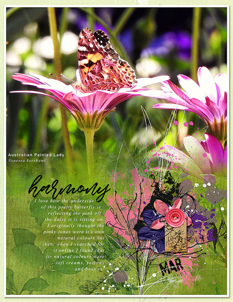 HARMONY
