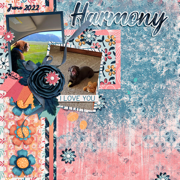 Harmony