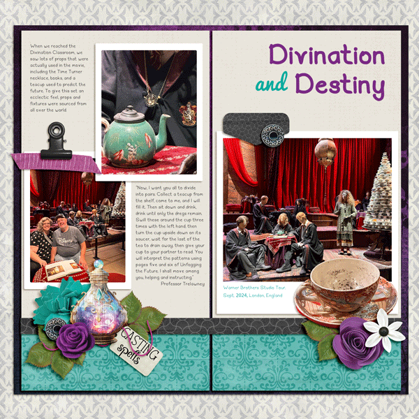 Harry Potter Divination and Destiny