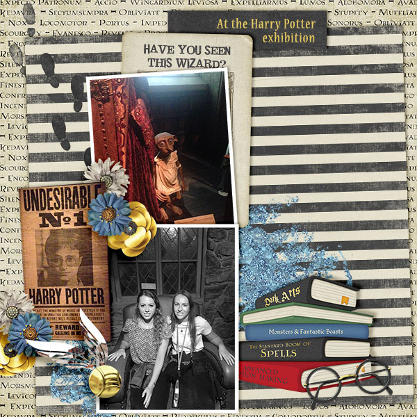 Harry Potter Exhibition