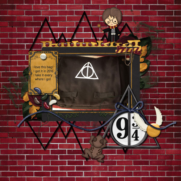 harrypotterbag
