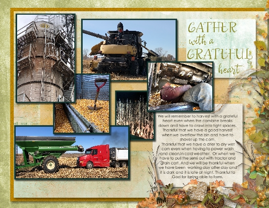 Harvest 2020