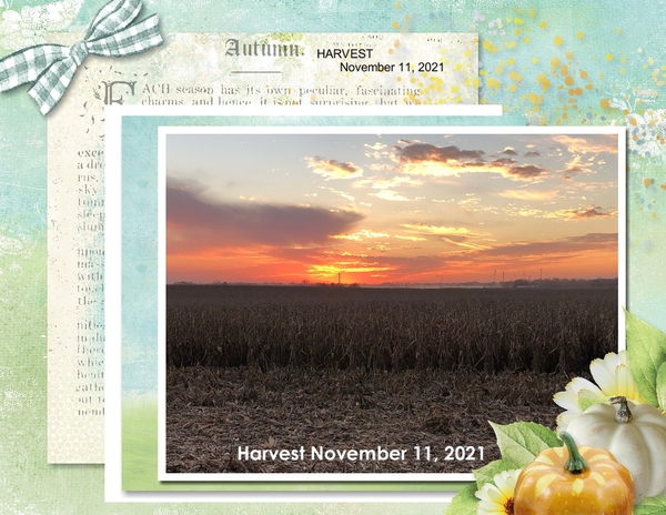 Harvest 2021