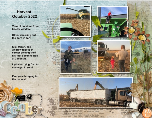 Harvest 2022
