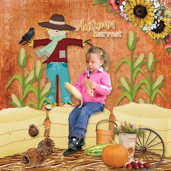 Harvest and Hayrides