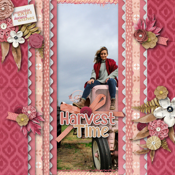 Harvest Blends Duo