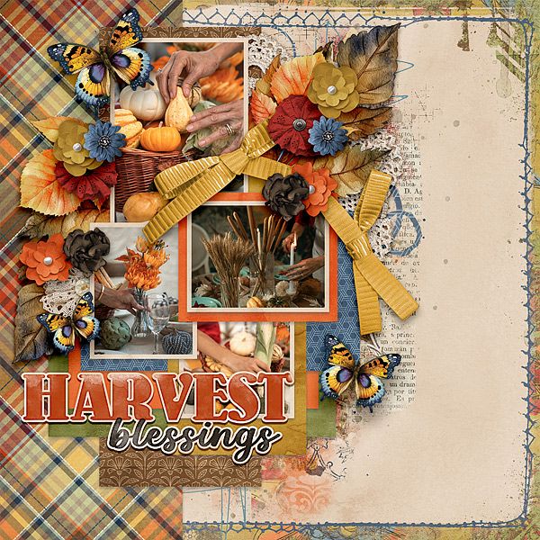 Harvest Blessing
