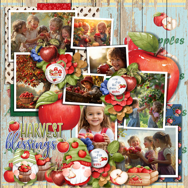 Harvest Blessings 2024