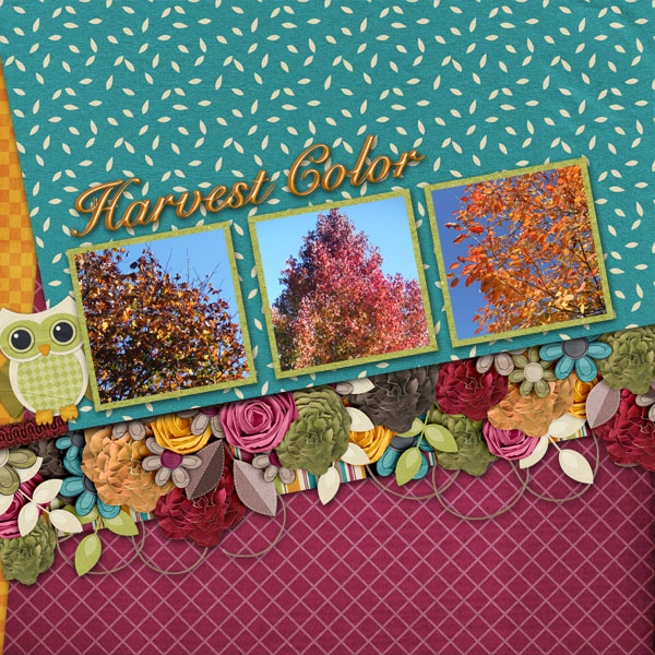 Harvest Color