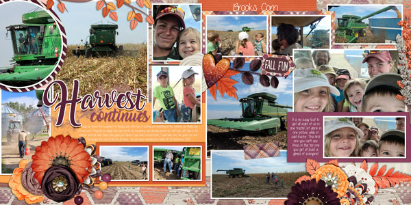 Harvest Continues