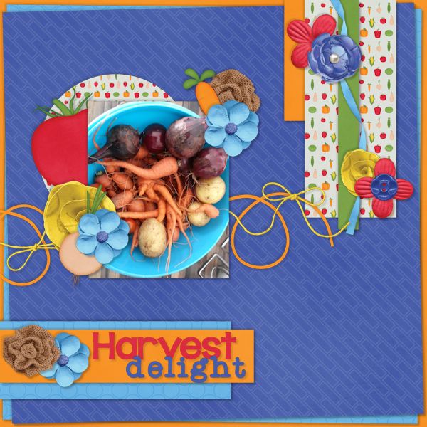 Harvest delight