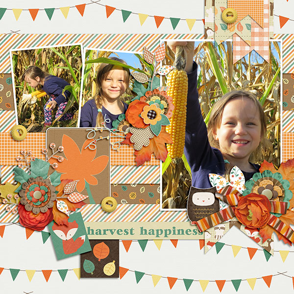 Harvest Happiness