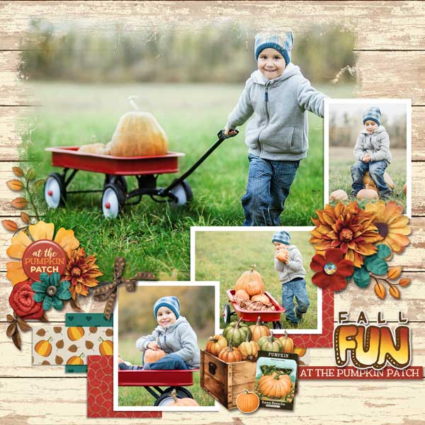Harvest Hayrides