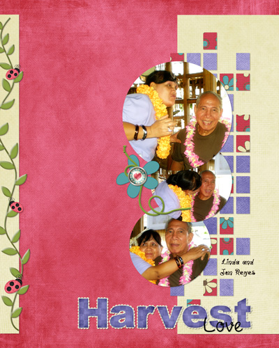 harvest love
