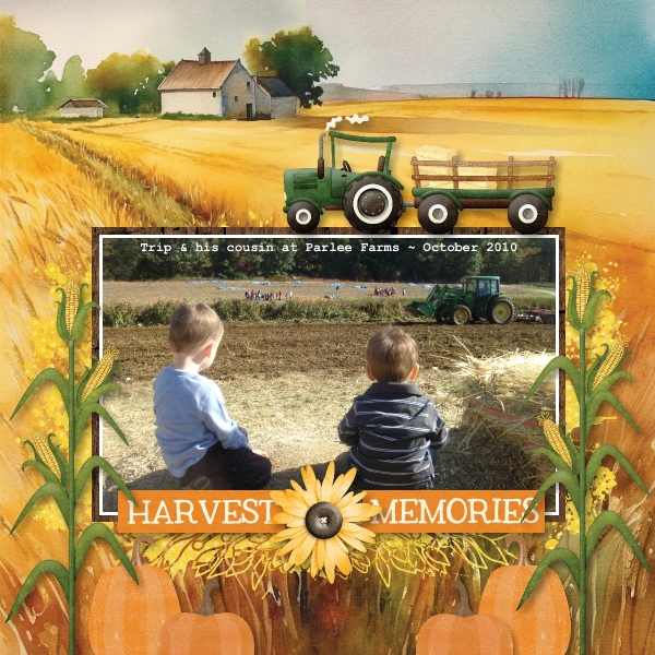 Harvest Memories - October 2010