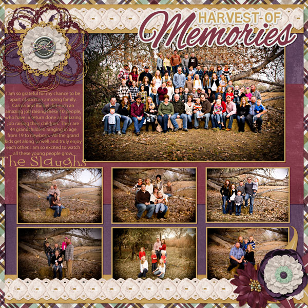 Harvest memories