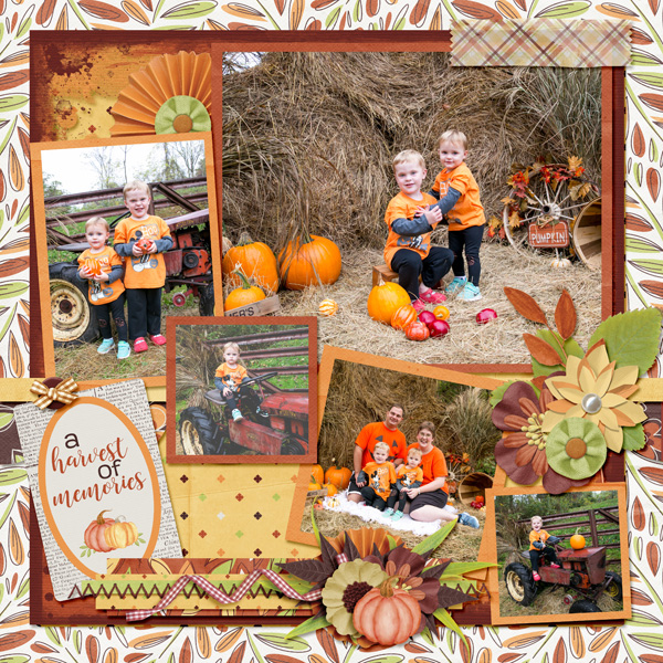 Harvest Memories