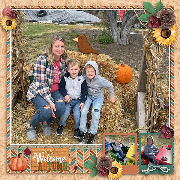 Harvest Memories