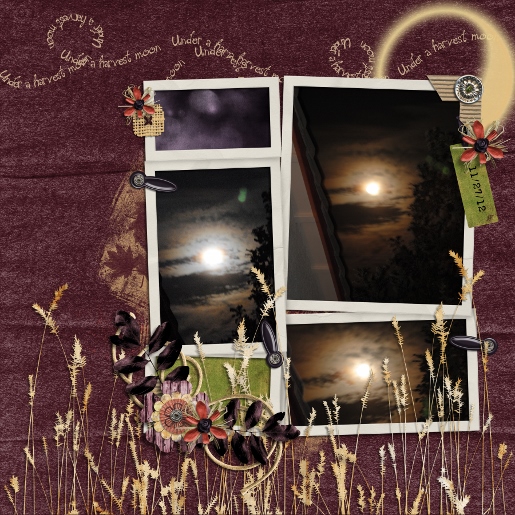 Harvest Moon