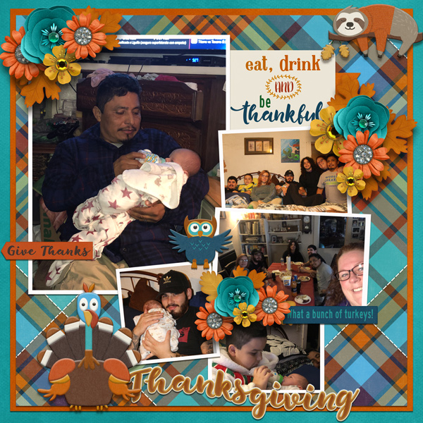 Harvest Of Gratitude