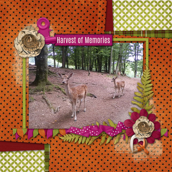 Harvest of Memories