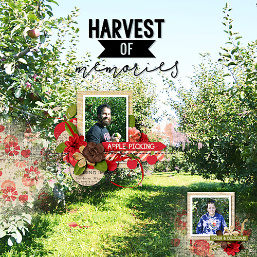 Harvest of Memories