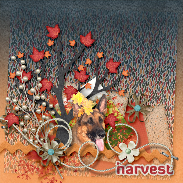 Harvest recipe