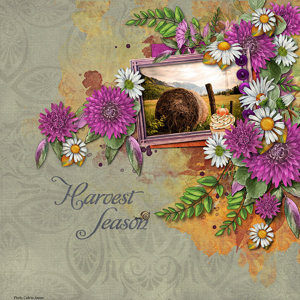 Harvest Season by ADB Designs
