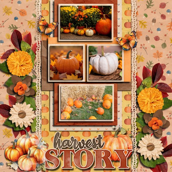 Harvest Story