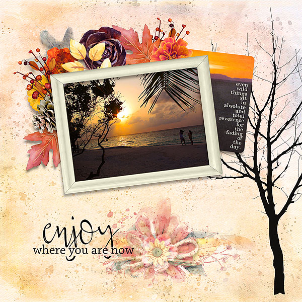Harvest Sunset II - 2