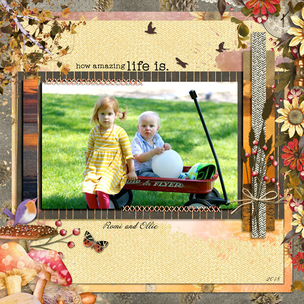 Harvest Sunset-Romi + Ollie