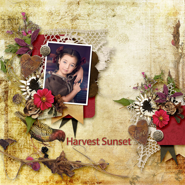 Harvest Sunset