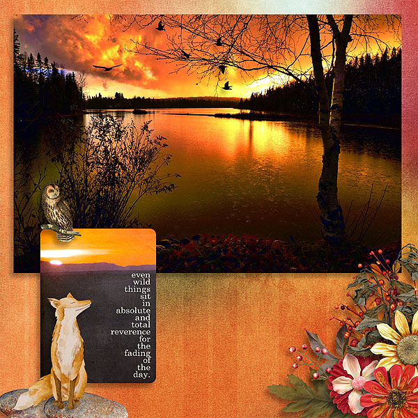 Harvest Sunset