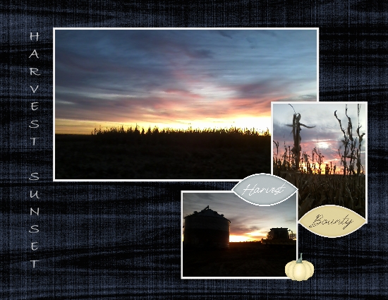 Harvest Sunset