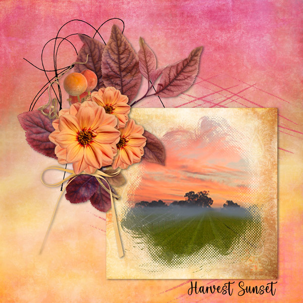 Harvest Sunset