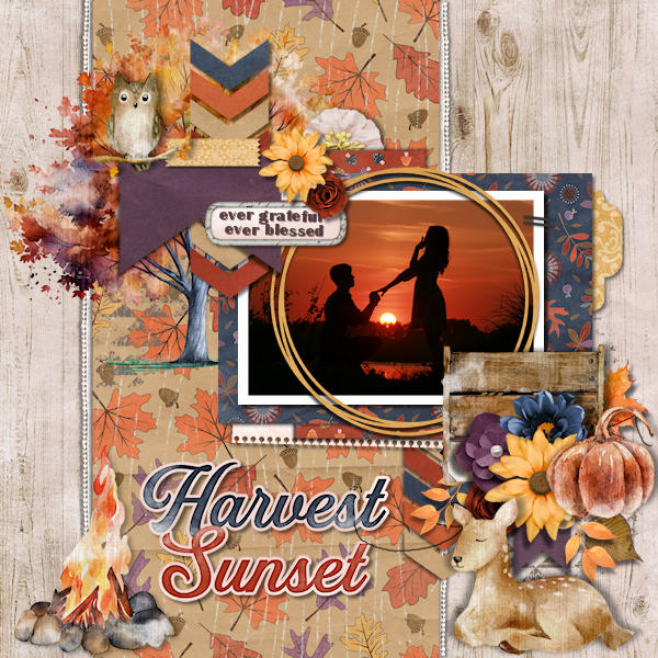 Harvest Sunset